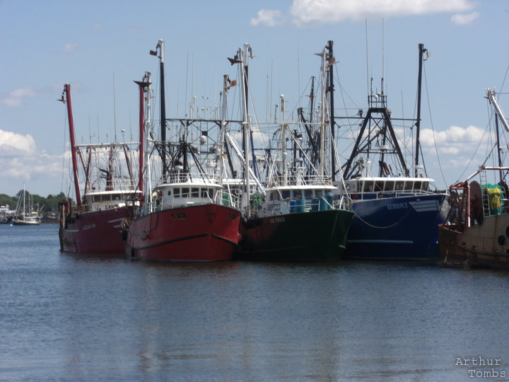 An image with no caption...