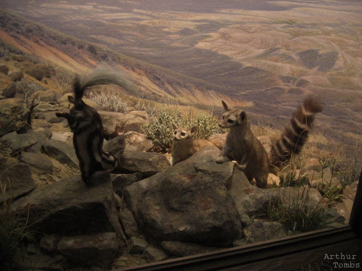 An image with no caption...