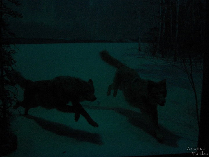 An image with no caption...