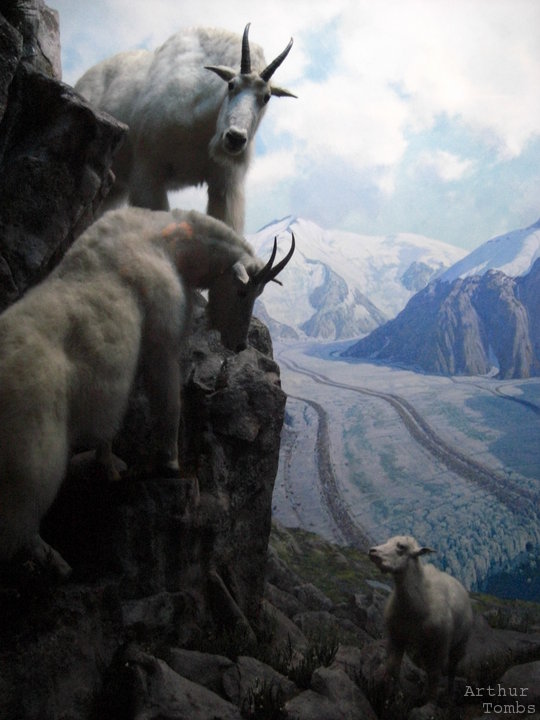 An image with no caption...