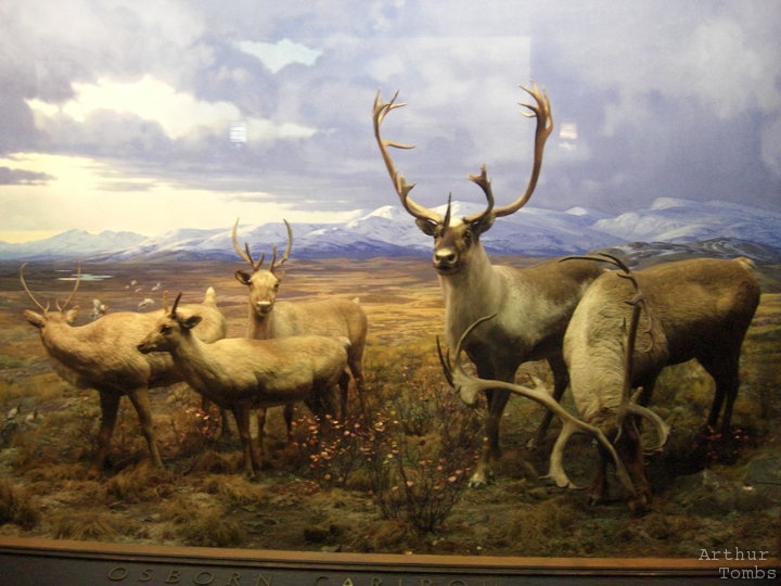 An image with no caption...