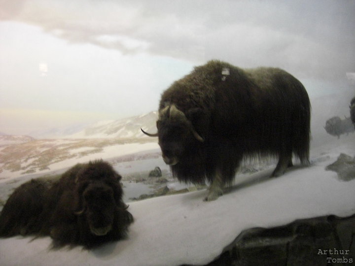 An image with no caption...