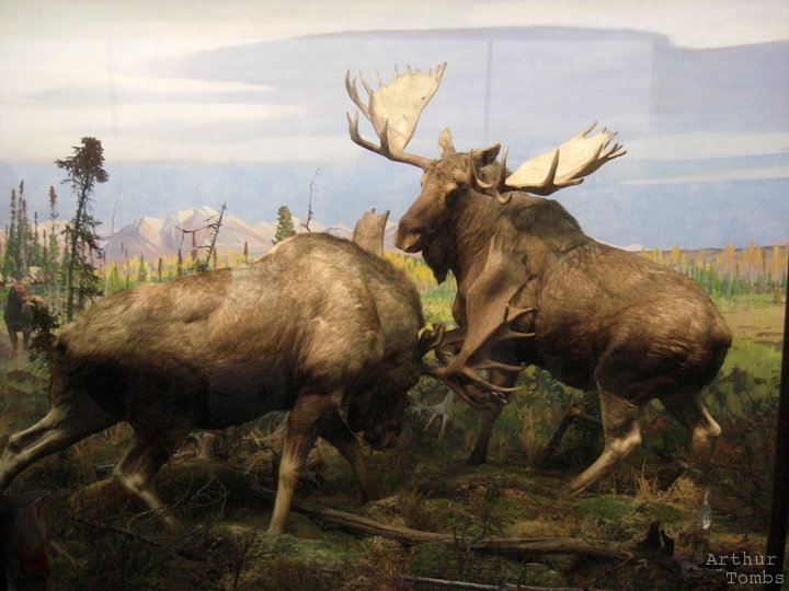 An image with no caption...