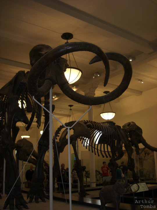 An image with no caption...