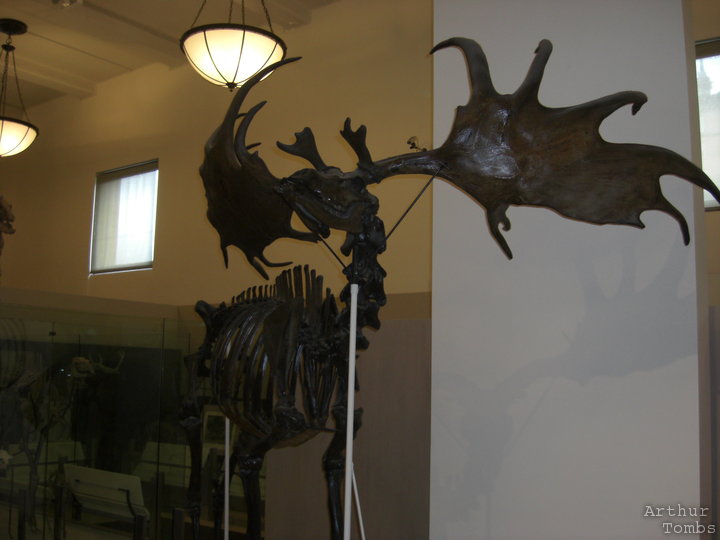 An image with no caption...