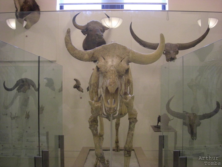 An image with no caption...