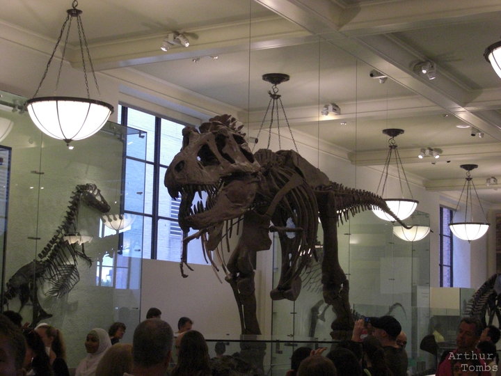 An image with no caption...