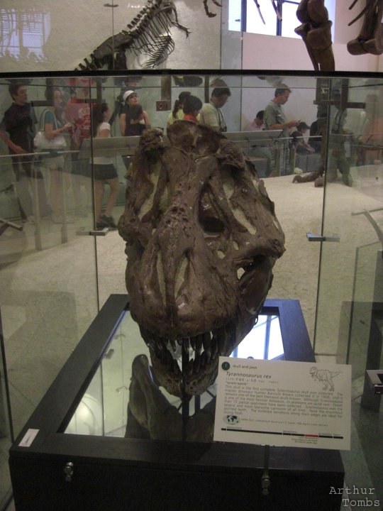 An image with no caption...