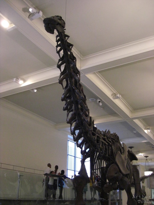 An image with no caption...