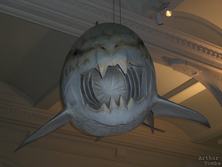 An image with no caption...