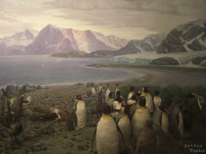 An image with no caption...