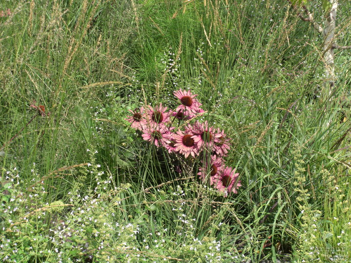 An image with no caption...