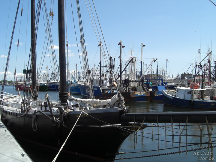 An image with no caption...