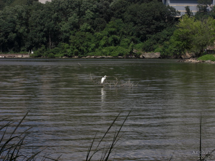 An image with no caption...