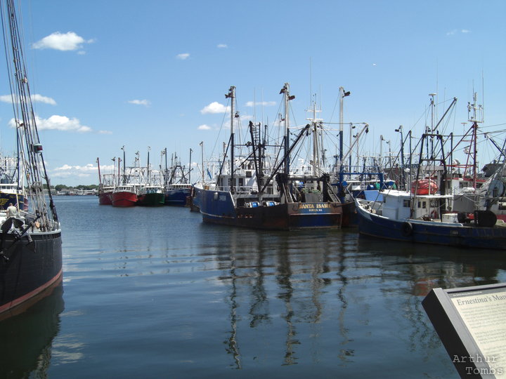 An image with no caption...