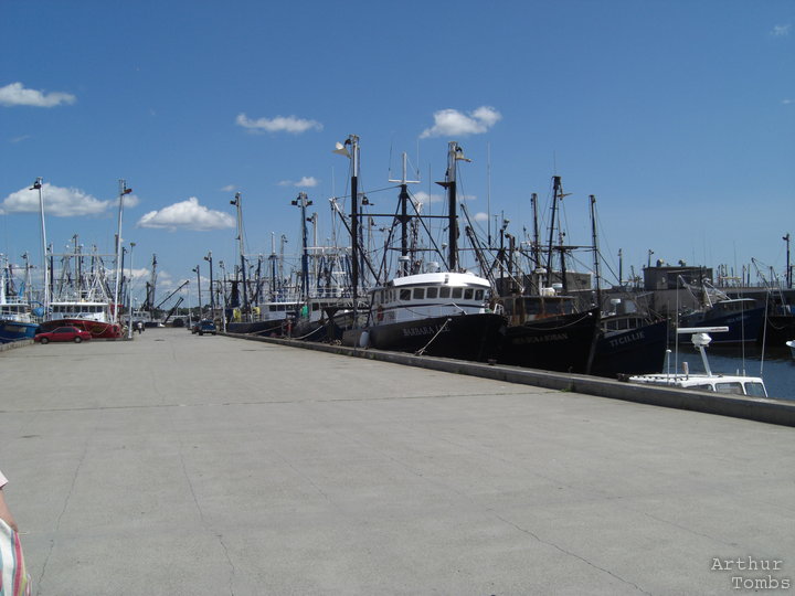 An image with no caption...