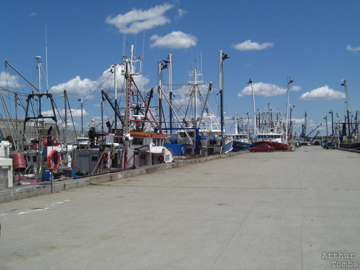 An image with no caption...