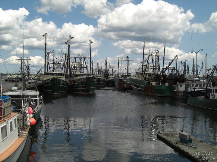 An image with no caption...