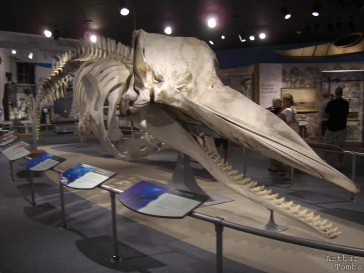 An image with no caption...