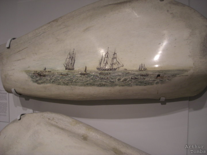 An image with no caption...