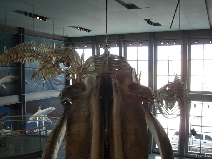 An image with no caption...