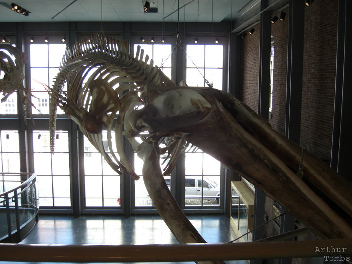 An image with no caption...