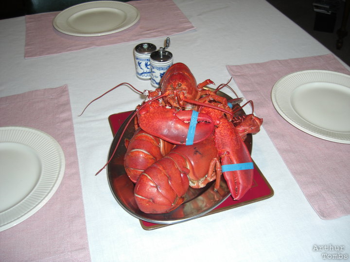 An image with no caption...