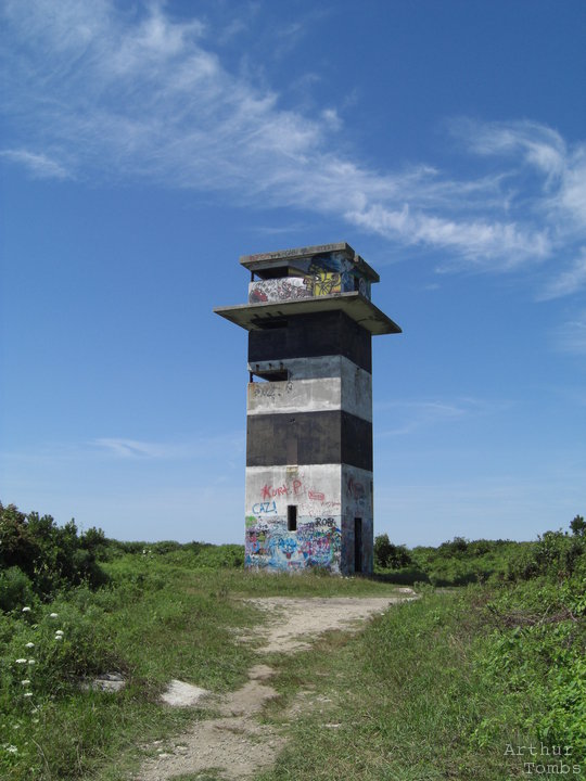 An image with no caption...