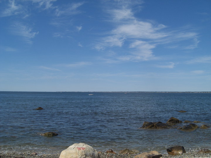 An image with no caption...