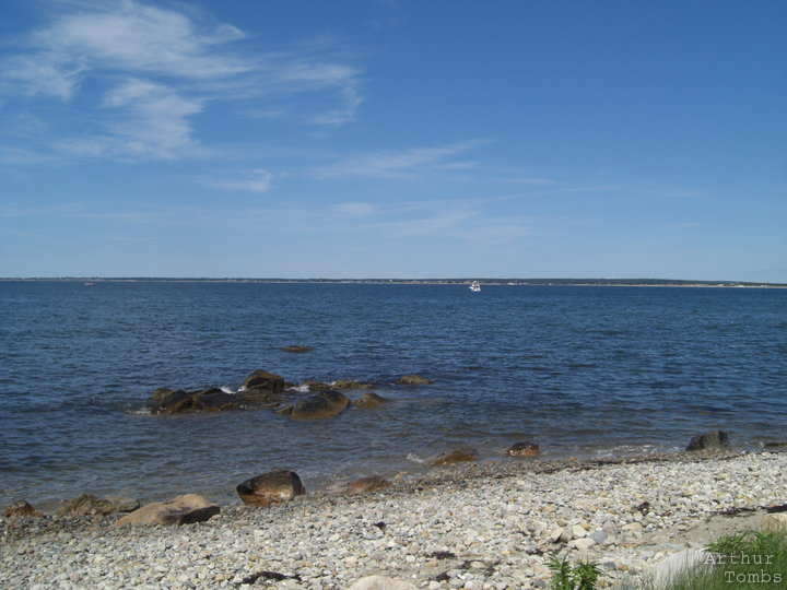 An image with no caption...