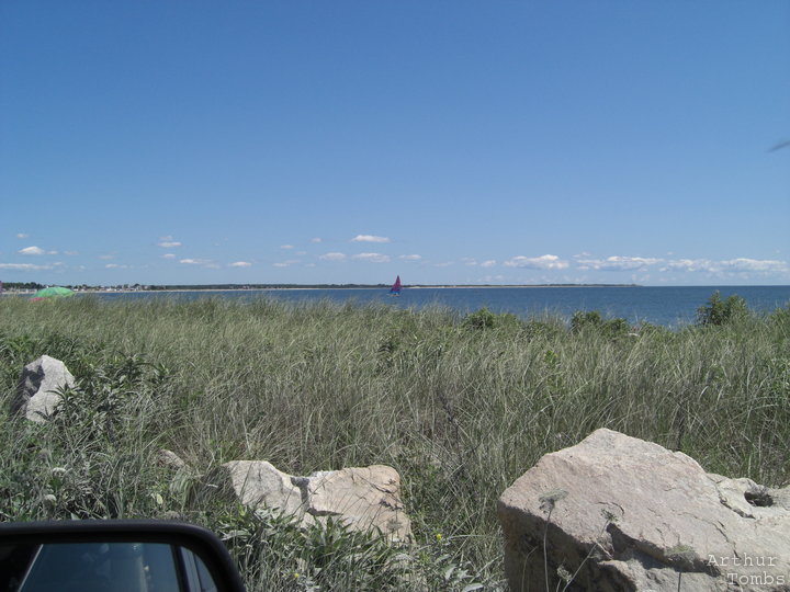 An image with no caption...