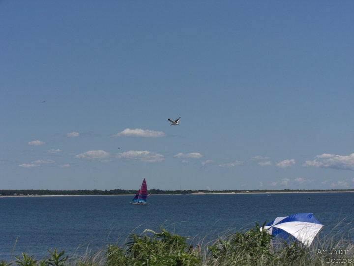 An image with no caption...