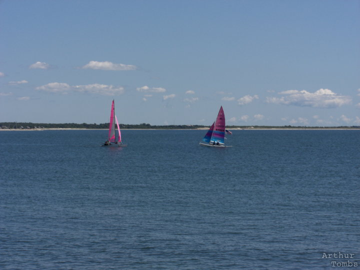 An image with no caption...