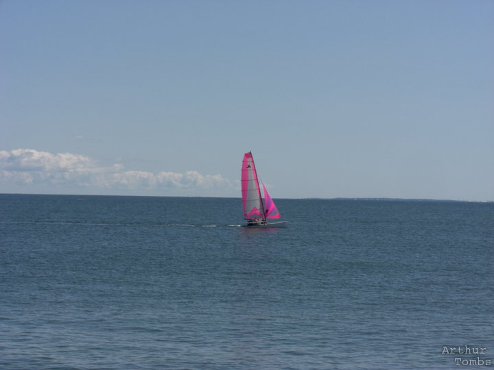 An image with no caption...