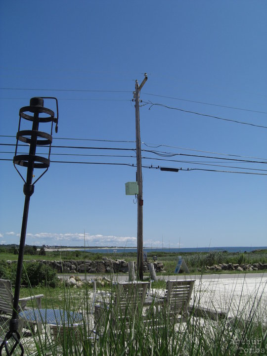 An image with no caption...