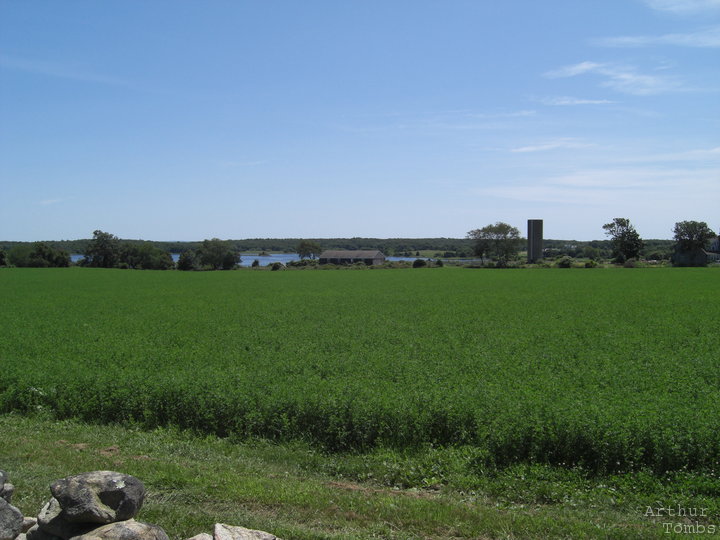 An image with no caption...