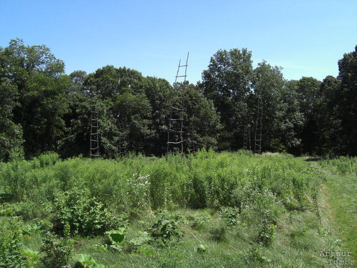 An image with no caption...