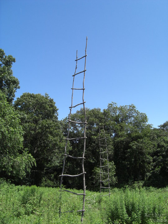 An image with no caption...