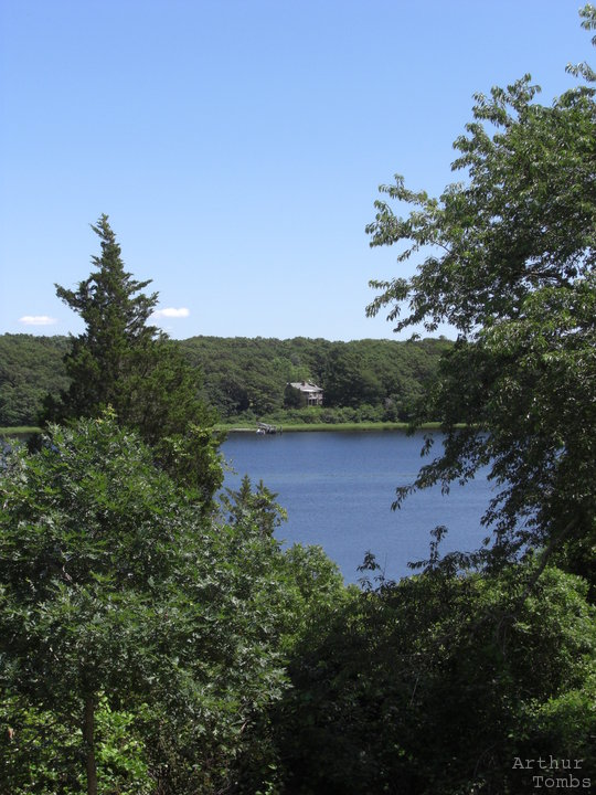 An image with no caption...