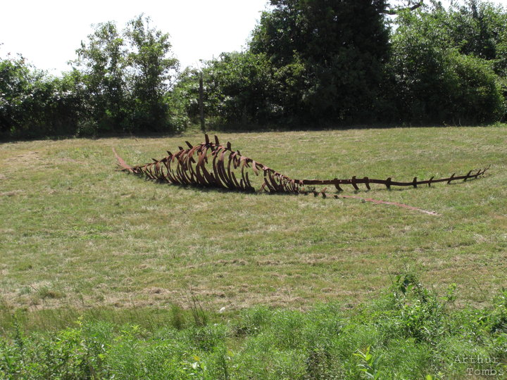 An image with no caption...