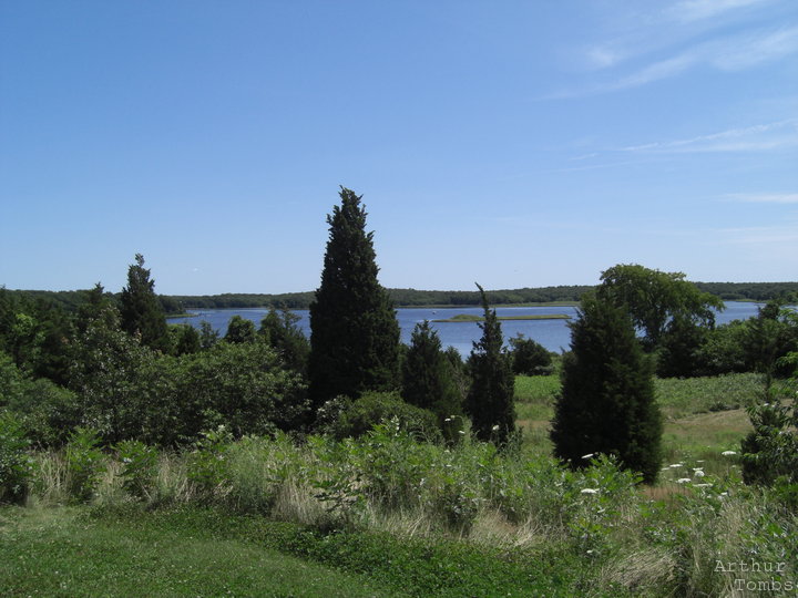 An image with no caption...