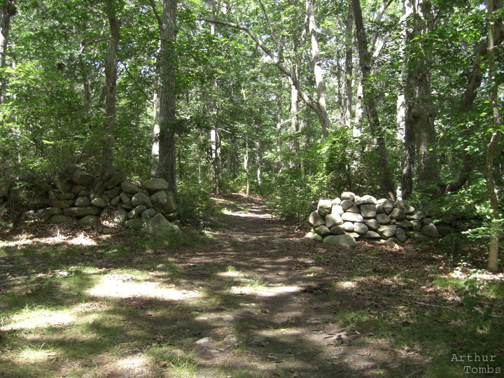 An image with no caption...