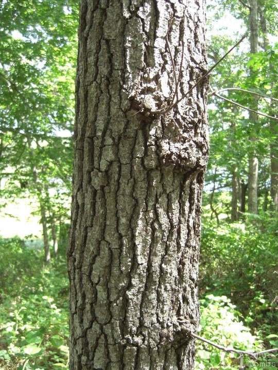 An image with no caption...