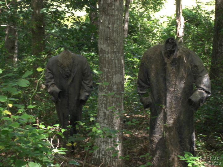 An image with no caption...