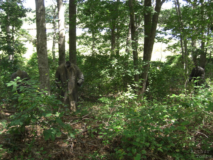 An image with no caption...