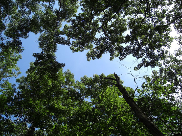 An image with no caption...