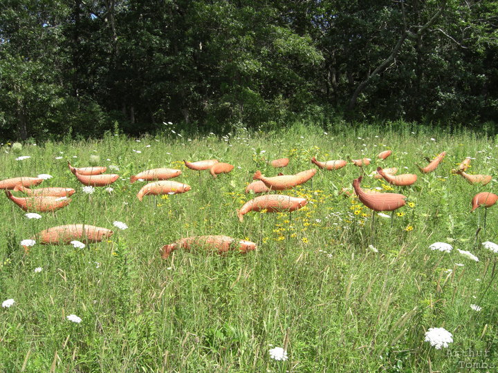 An image with no caption...