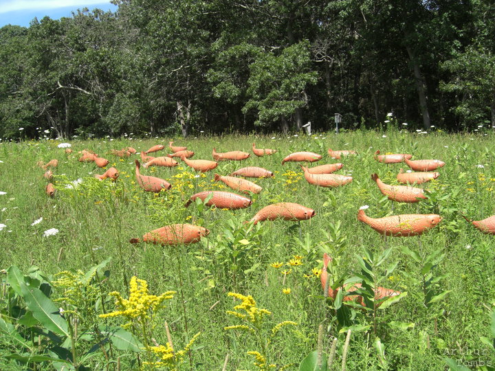 An image with no caption...