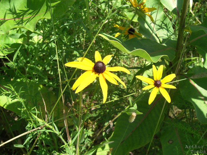 An image with no caption...