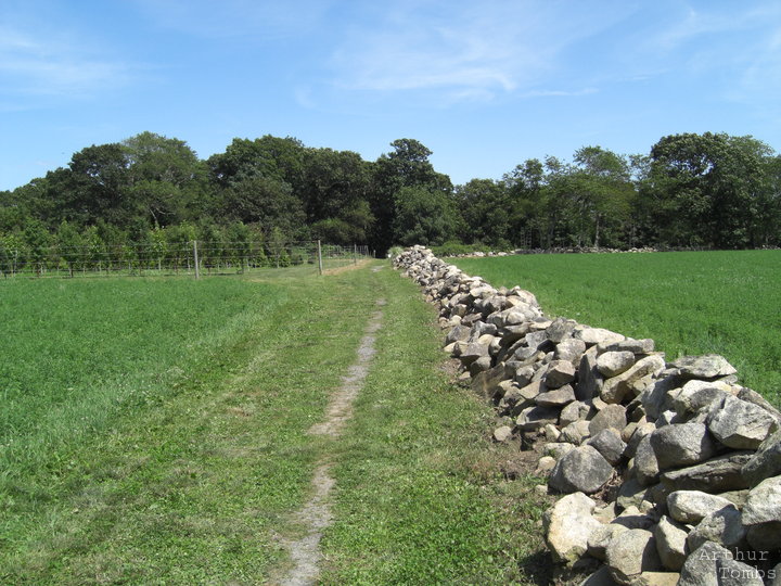 An image with no caption...